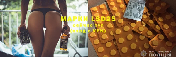 индика Медногорск