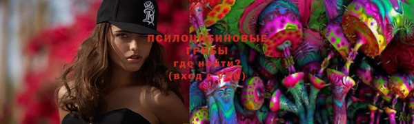 индика Медногорск