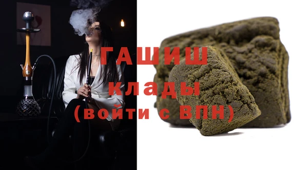 индика Медногорск