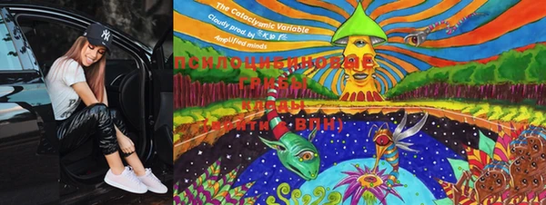 PSILOCYBIN Мегион