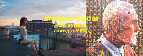 индика Медногорск