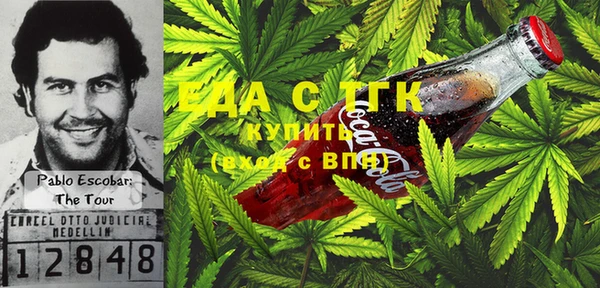 прущие грибы Рославль