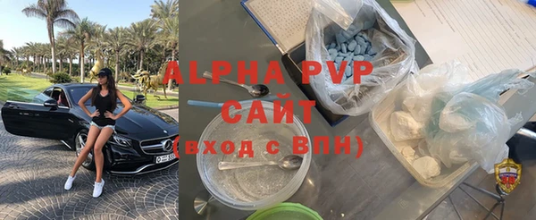 индика Медногорск