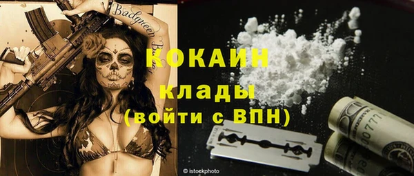 стаф Медвежьегорск