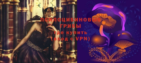 индика Медногорск