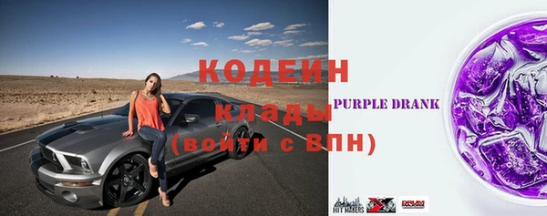 индика Медногорск