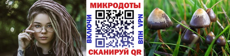 Галлюциногенные грибы MAGIC MUSHROOMS  Талдом 